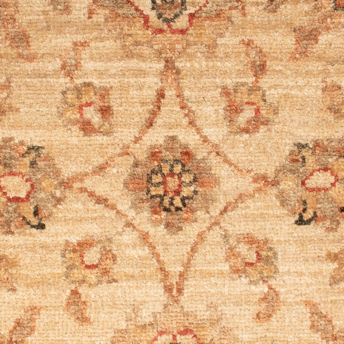 Alfombra Ziegler - 68 x 48 cm - beige