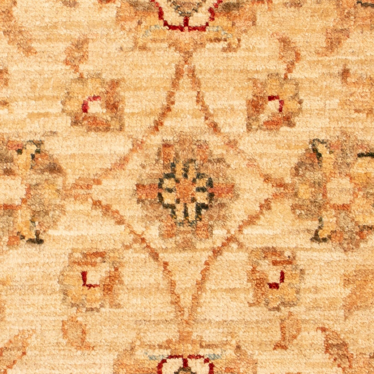 Alfombra Ziegler - 71 x 51 cm - beige
