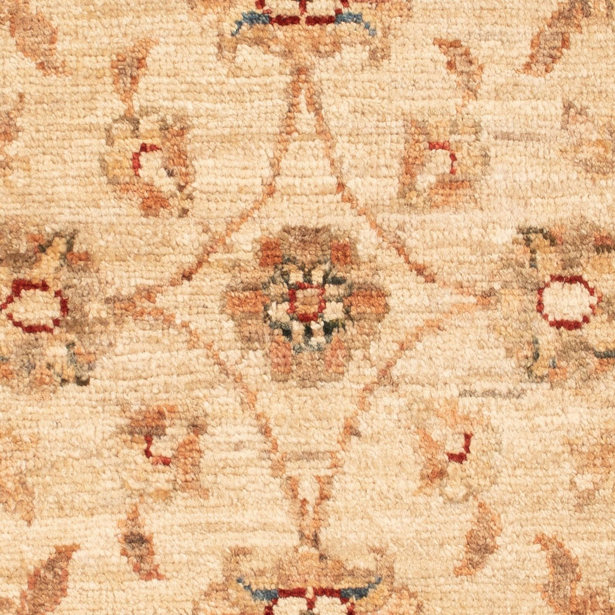 Alfombra Ziegler - 75 x 50 cm - beige