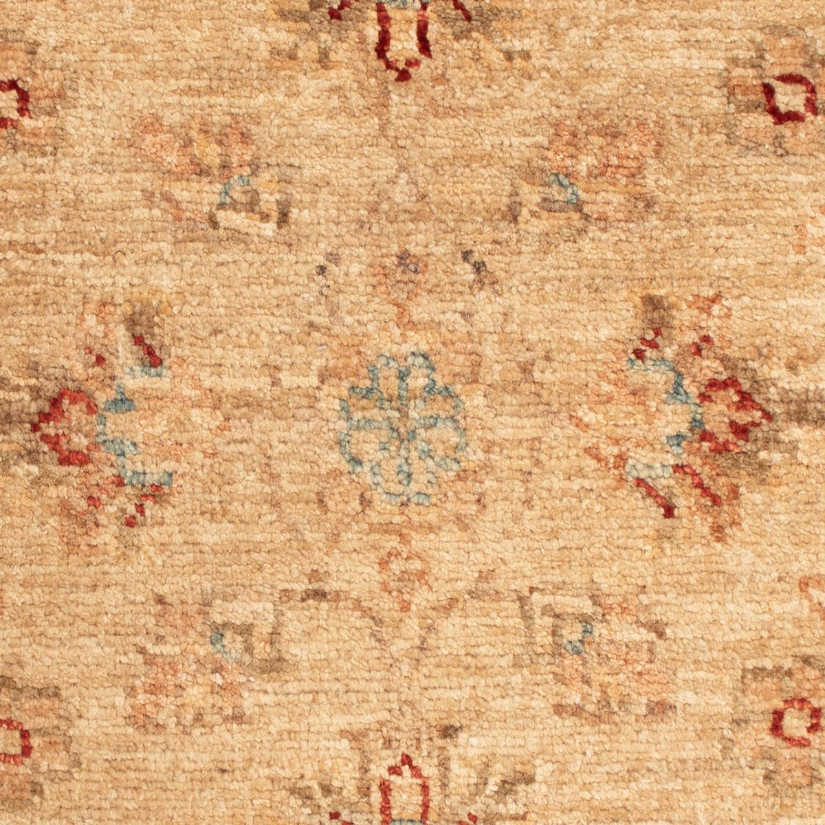 Alfombra Ziegler - 67 x 52 cm - beige