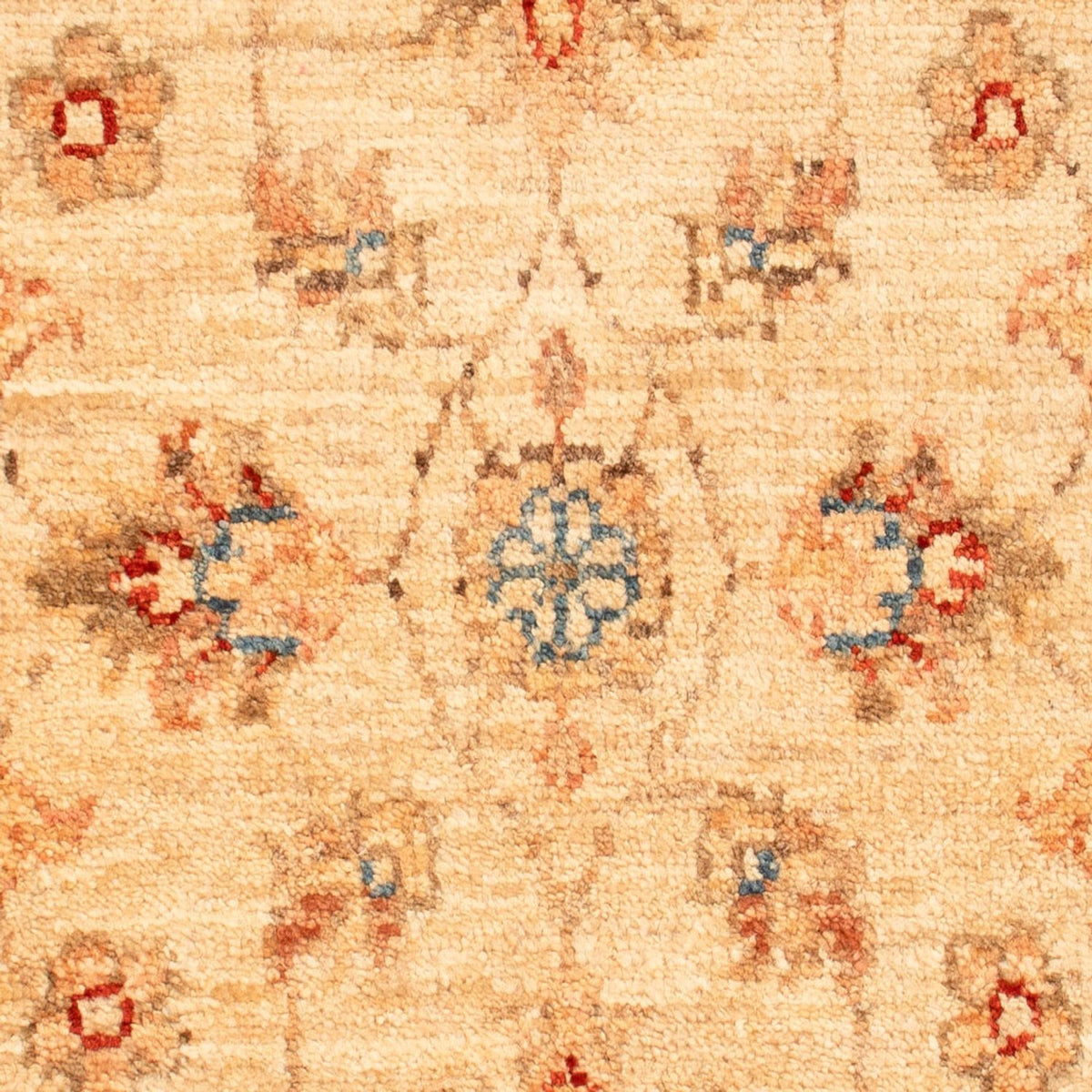 Alfombra Ziegler - 77 x 49 cm - beige