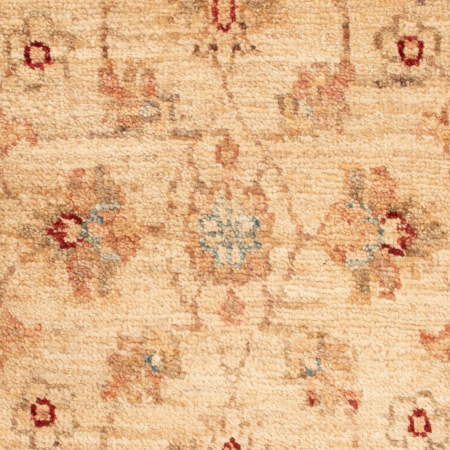 Alfombra Ziegler - 74 x 50 cm - beige