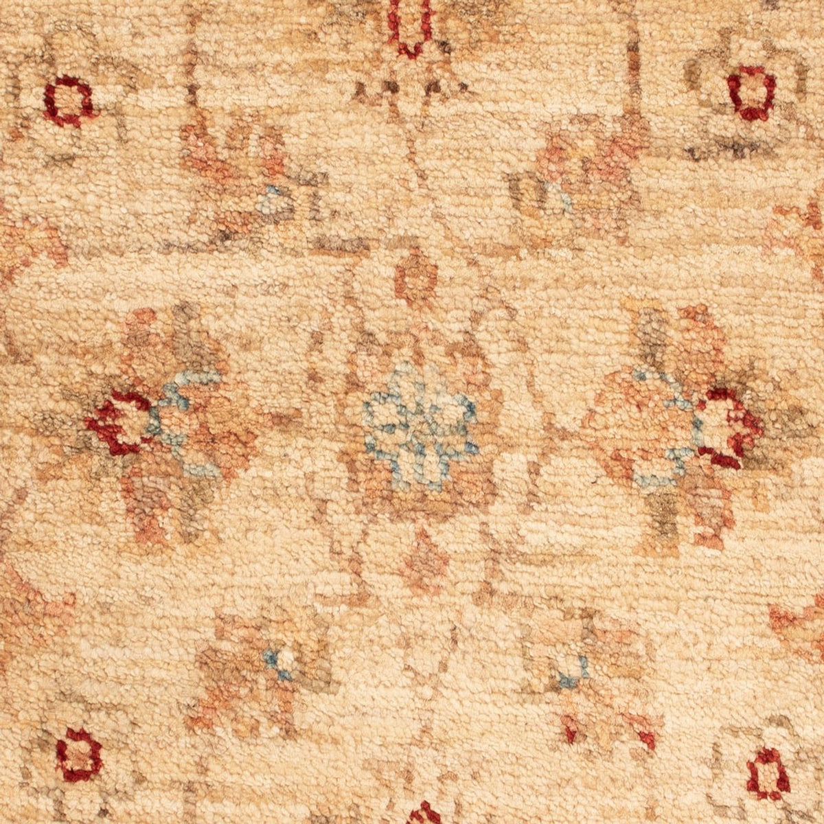 Alfombra Ziegler - 74 x 50 cm - beige