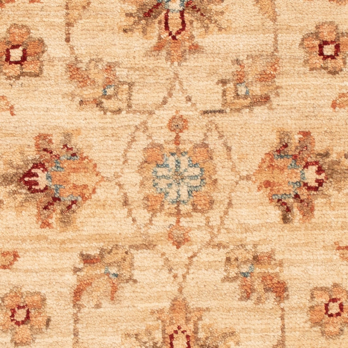 Alfombra Ziegler - 70 x 50 cm - beige