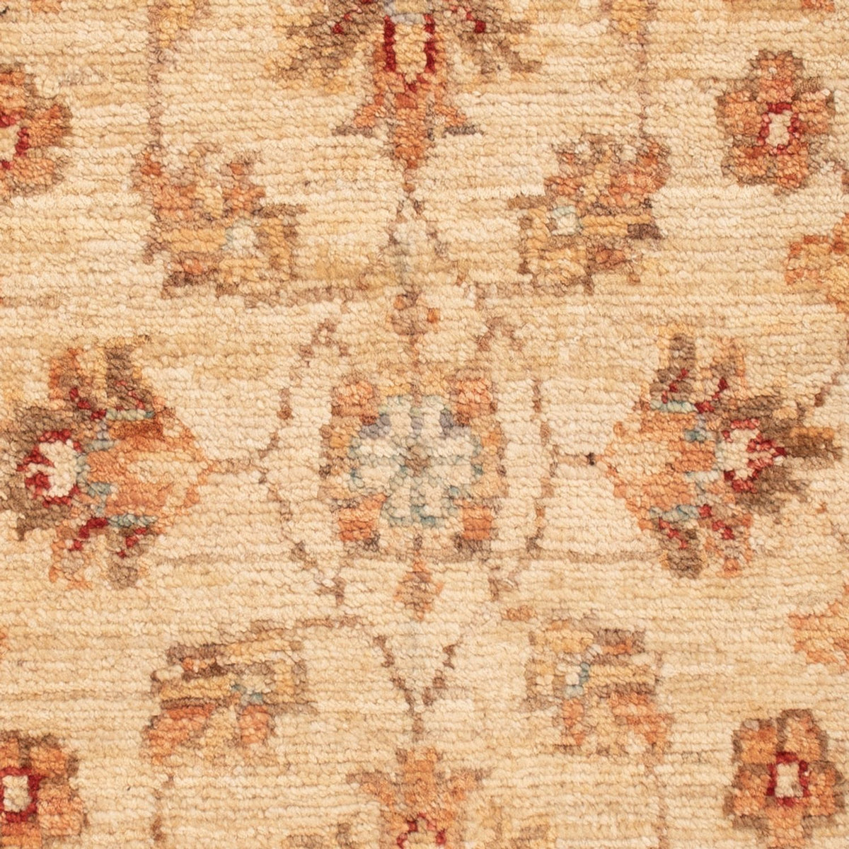 Alfombra Ziegler - 71 x 49 cm - beige