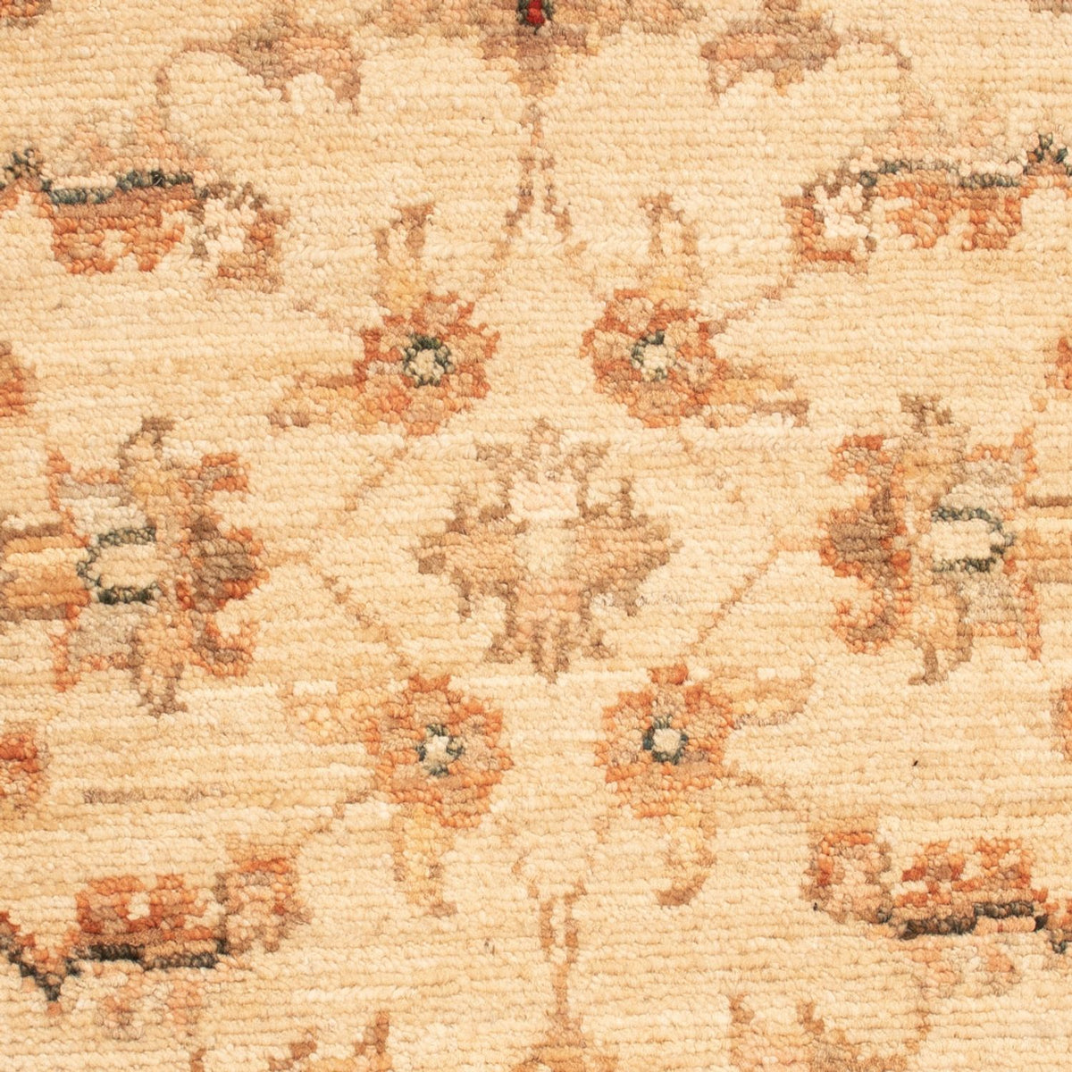 Alfombra Ziegler - 69 x 48 cm - beige