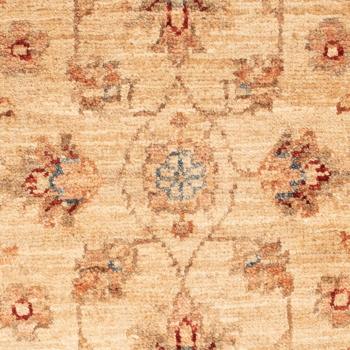 Alfombra Ziegler - 70 x 51 cm - beige
