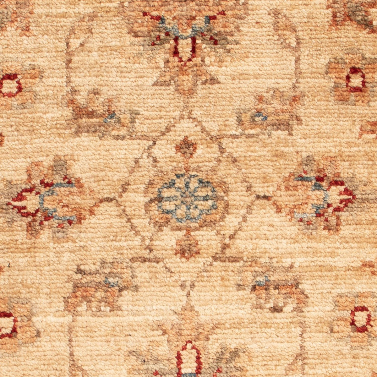 Alfombra Ziegler - 67 x 48 cm - beige
