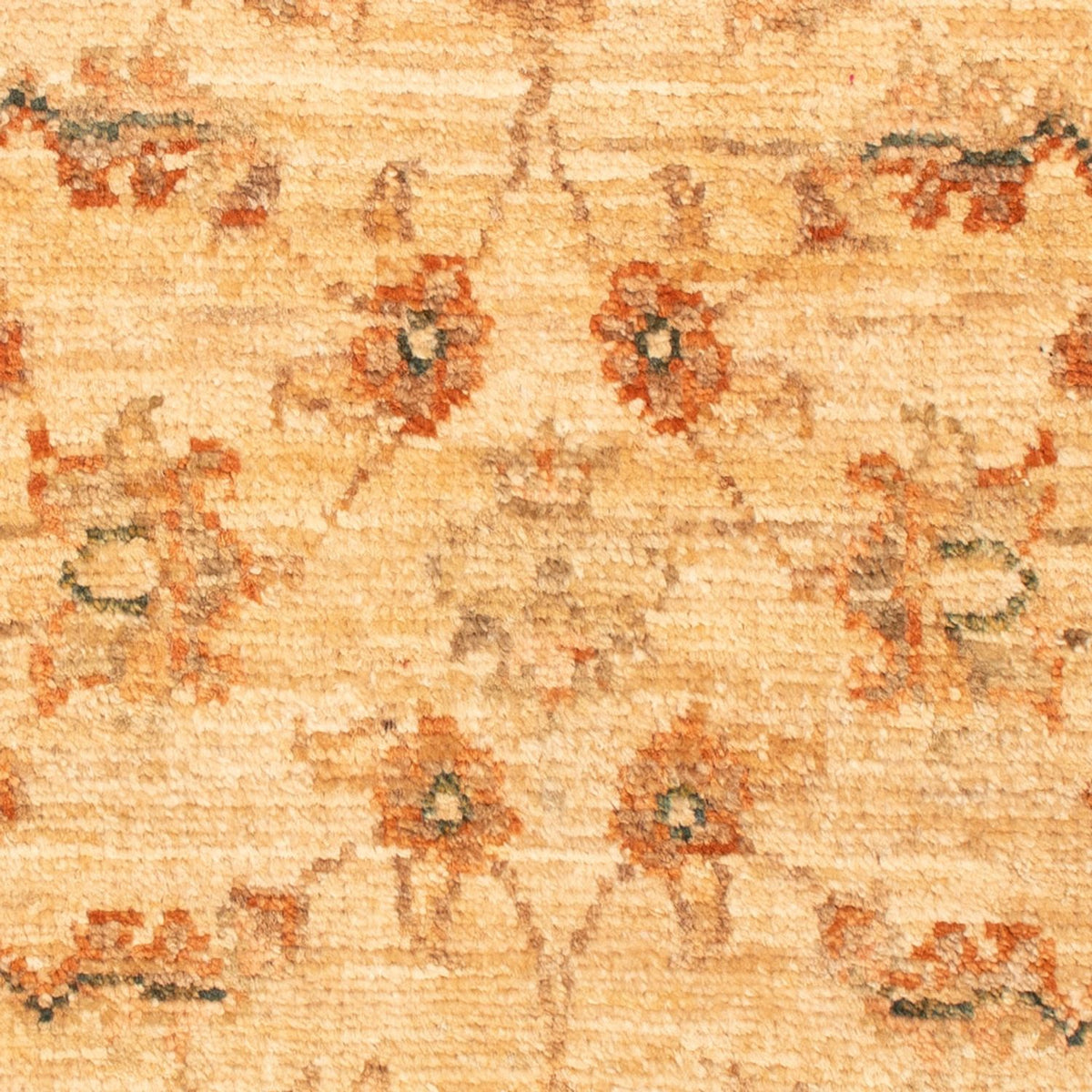 Alfombra Ziegler - 73 x 50 cm - beige