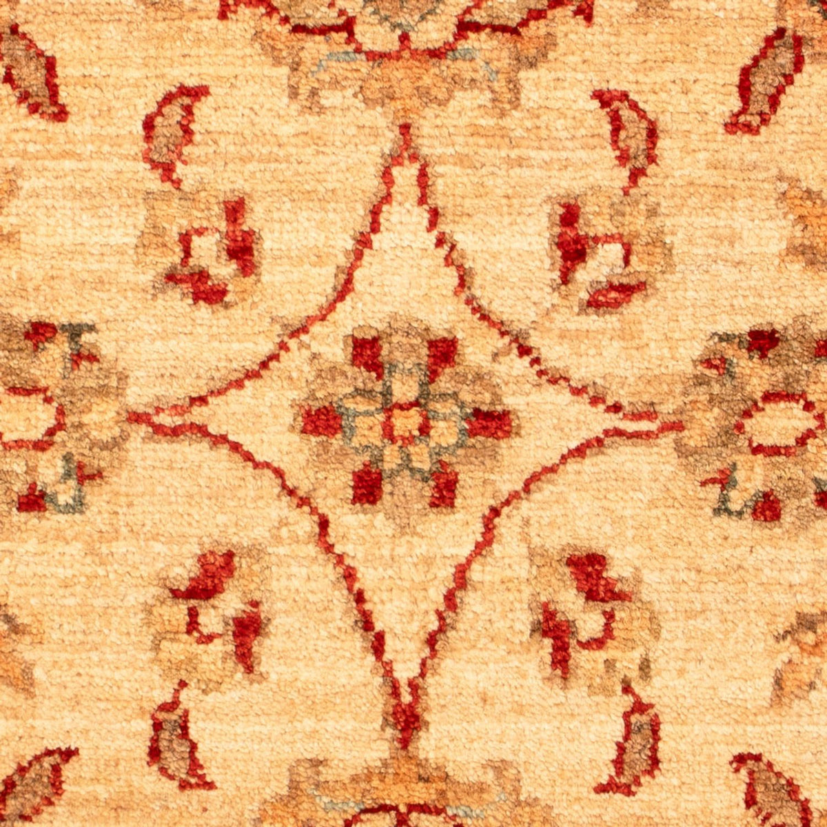 Alfombra Ziegler - 70 x 52 cm - beige