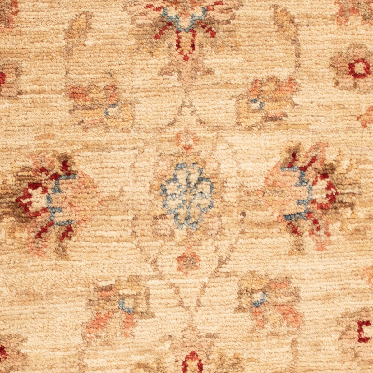 Alfombra Ziegler - 67 x 52 cm - beige