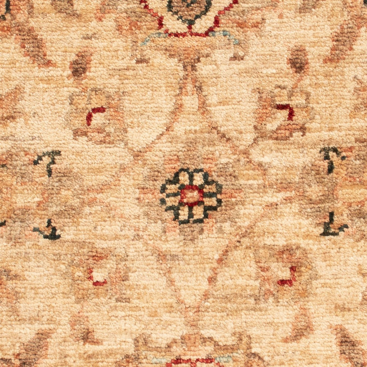 Alfombra Ziegler - 66 x 52 cm - beige