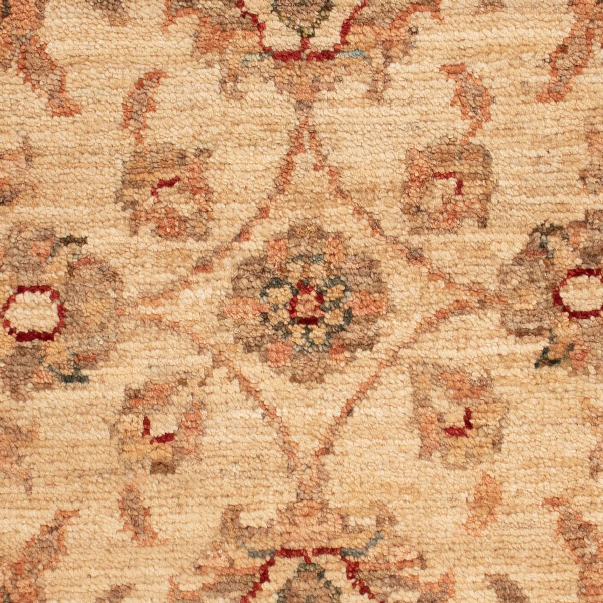 Alfombra Ziegler - 68 x 49 cm - beige