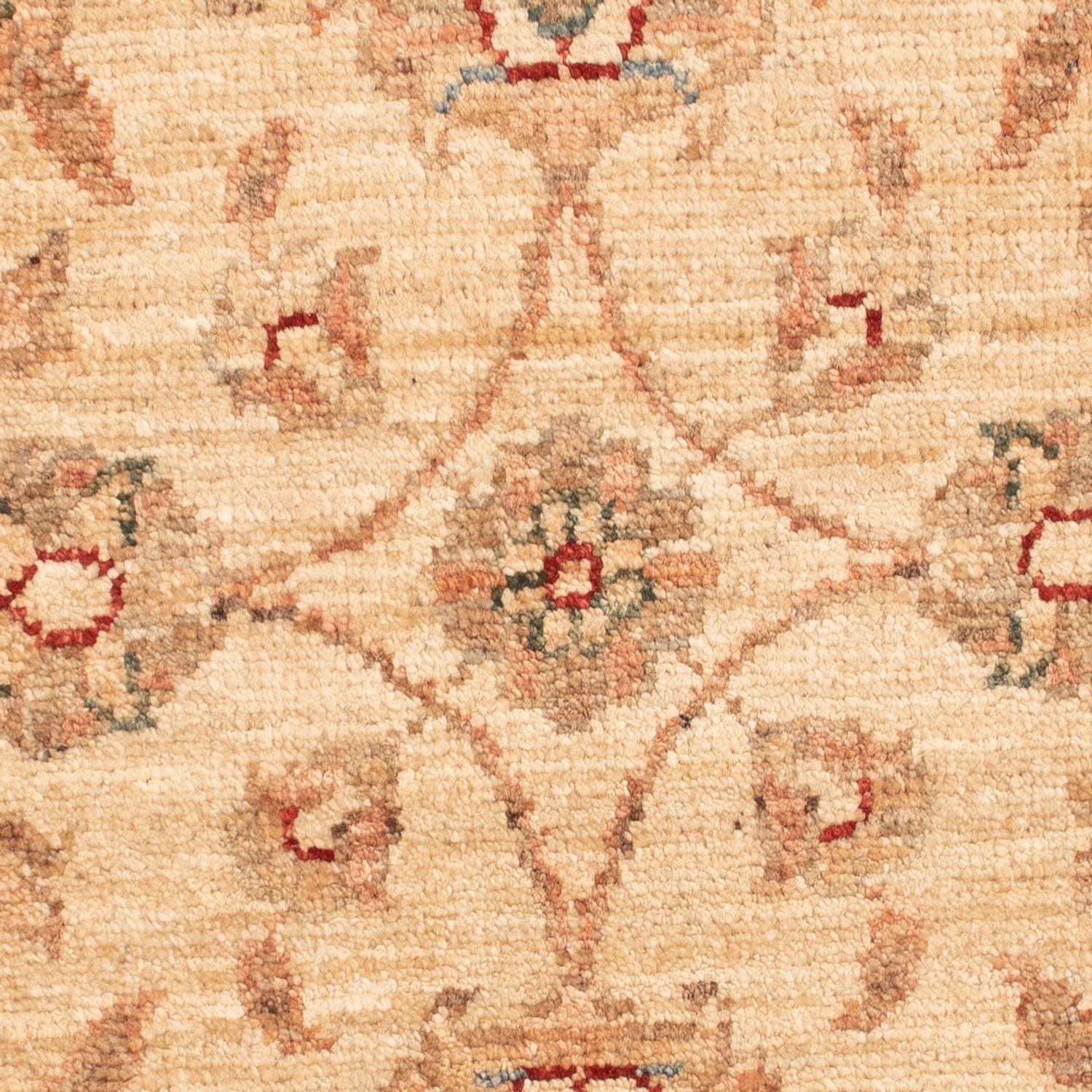 Alfombra Ziegler - 75 x 54 cm - beige