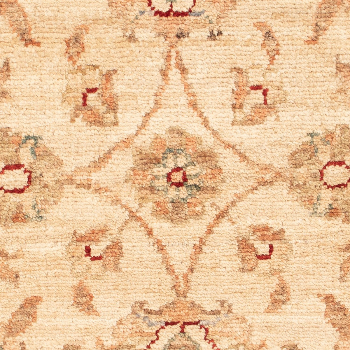 Alfombra Ziegler - 65 x 49 cm - beige