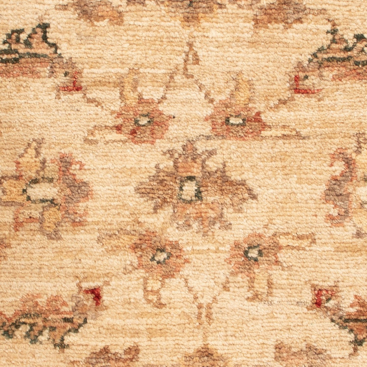 Alfombra Ziegler - 65 x 50 cm - beige