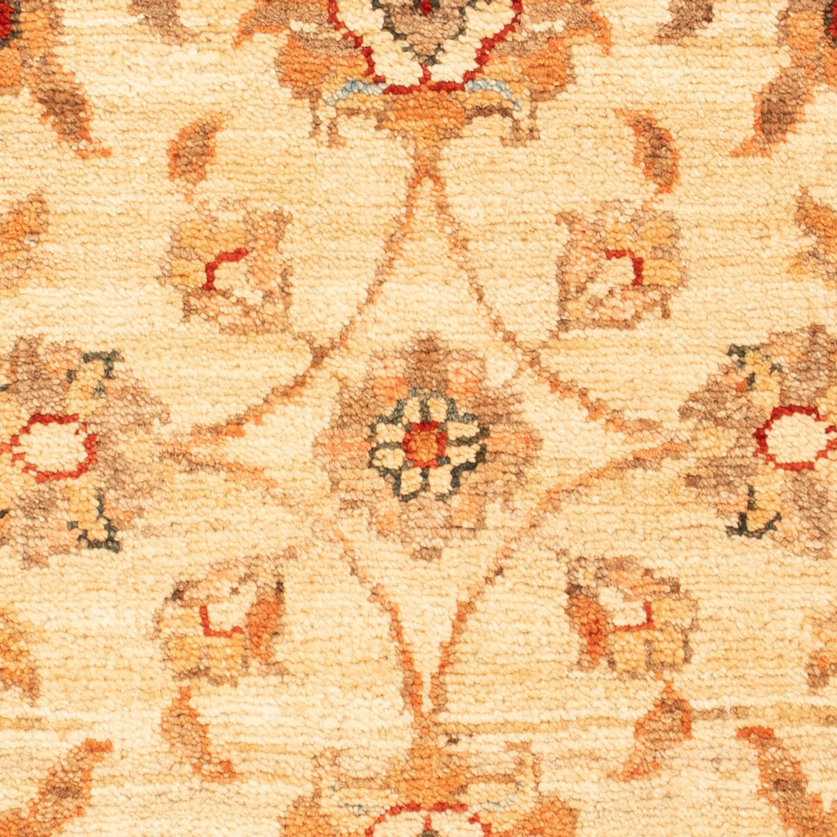 Alfombra Ziegler - 71 x 52 cm - beige