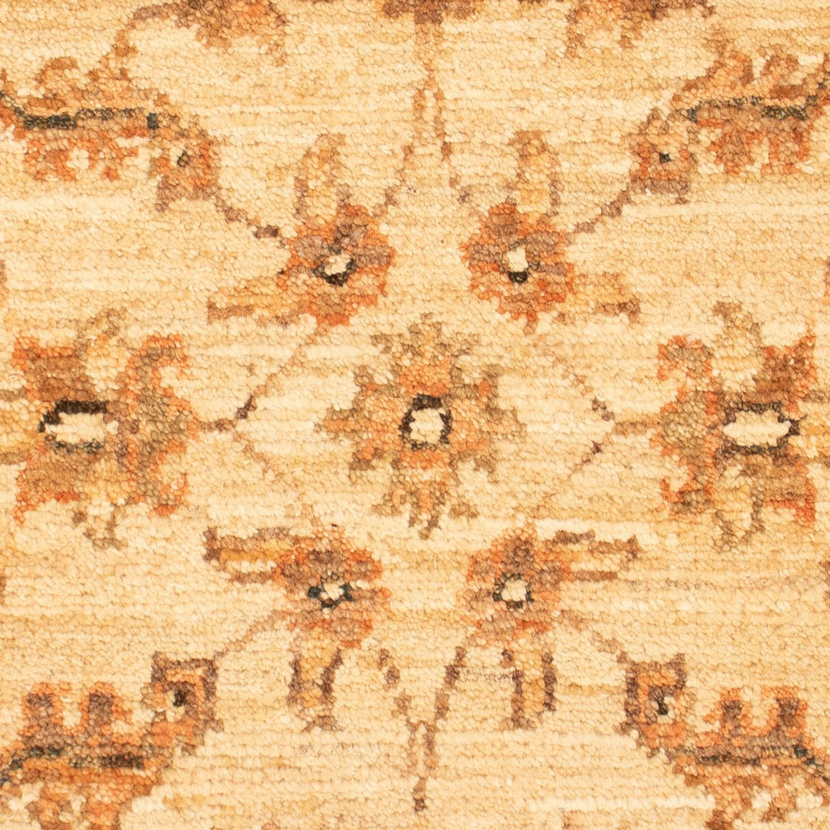 Alfombra Ziegler - 72 x 51 cm - beige