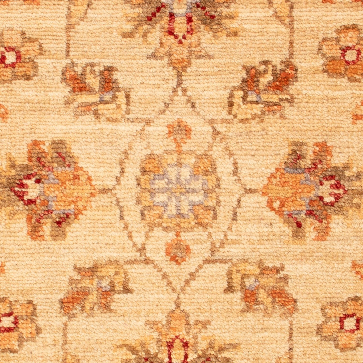 Alfombra Ziegler - 72 x 52 cm - beige