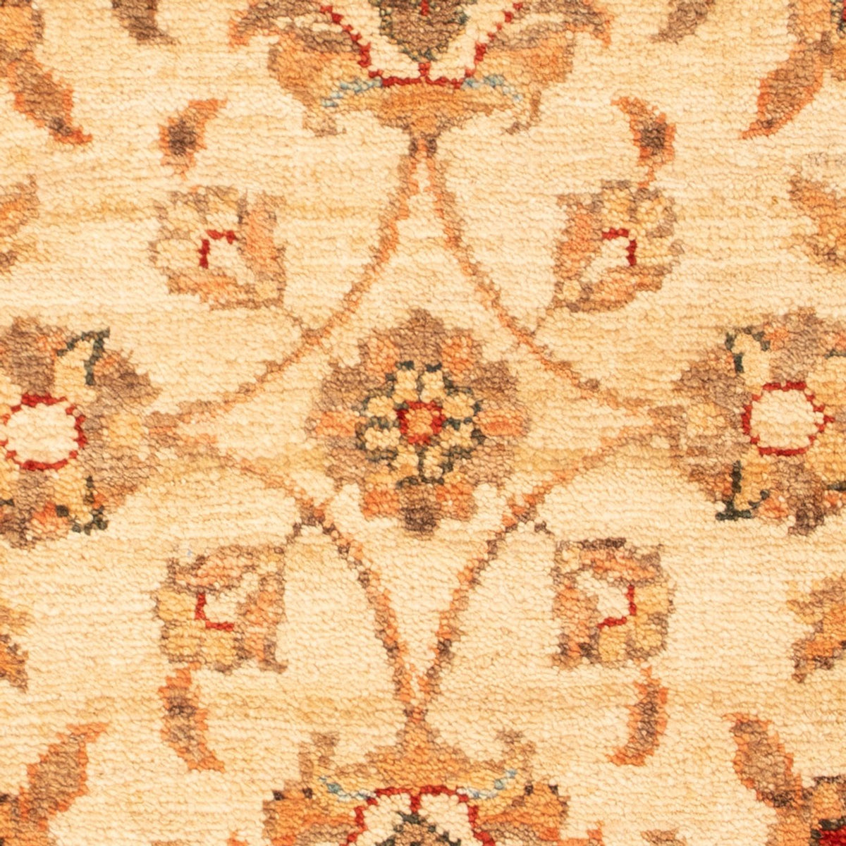 Alfombra Ziegler - 67 x 53 cm - beige
