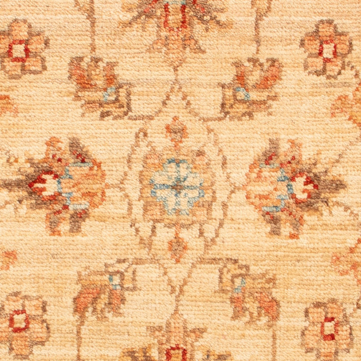Alfombra Ziegler - 75 x 51 cm - beige