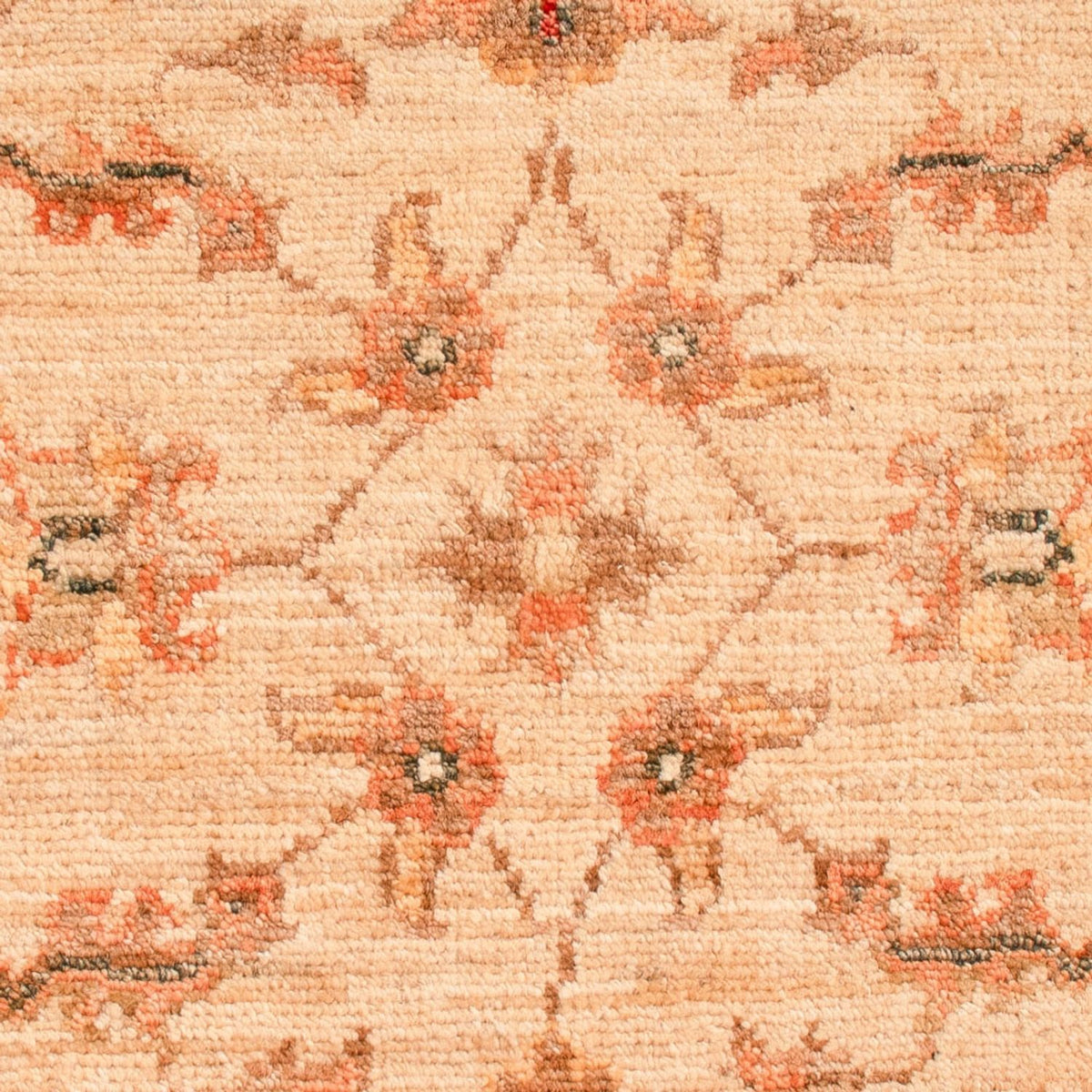Alfombra Ziegler - 71 x 55 cm - beige