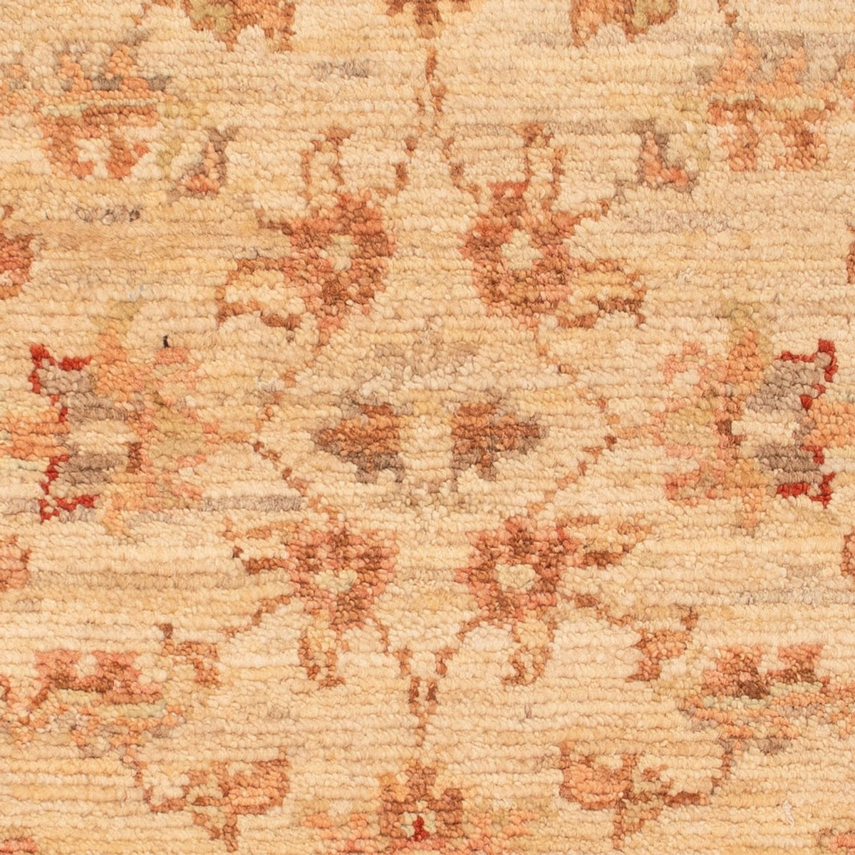 Alfombra Ziegler - 68 x 47 cm - beige