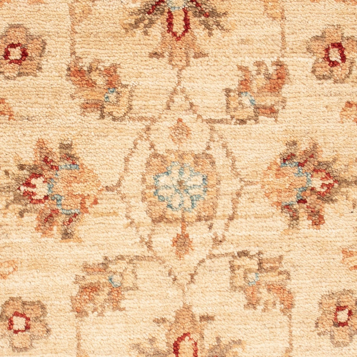 Alfombra Ziegler - 68 x 50 cm - beige