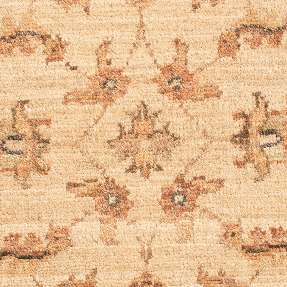 Alfombra Ziegler - 64 x 49 cm - beige