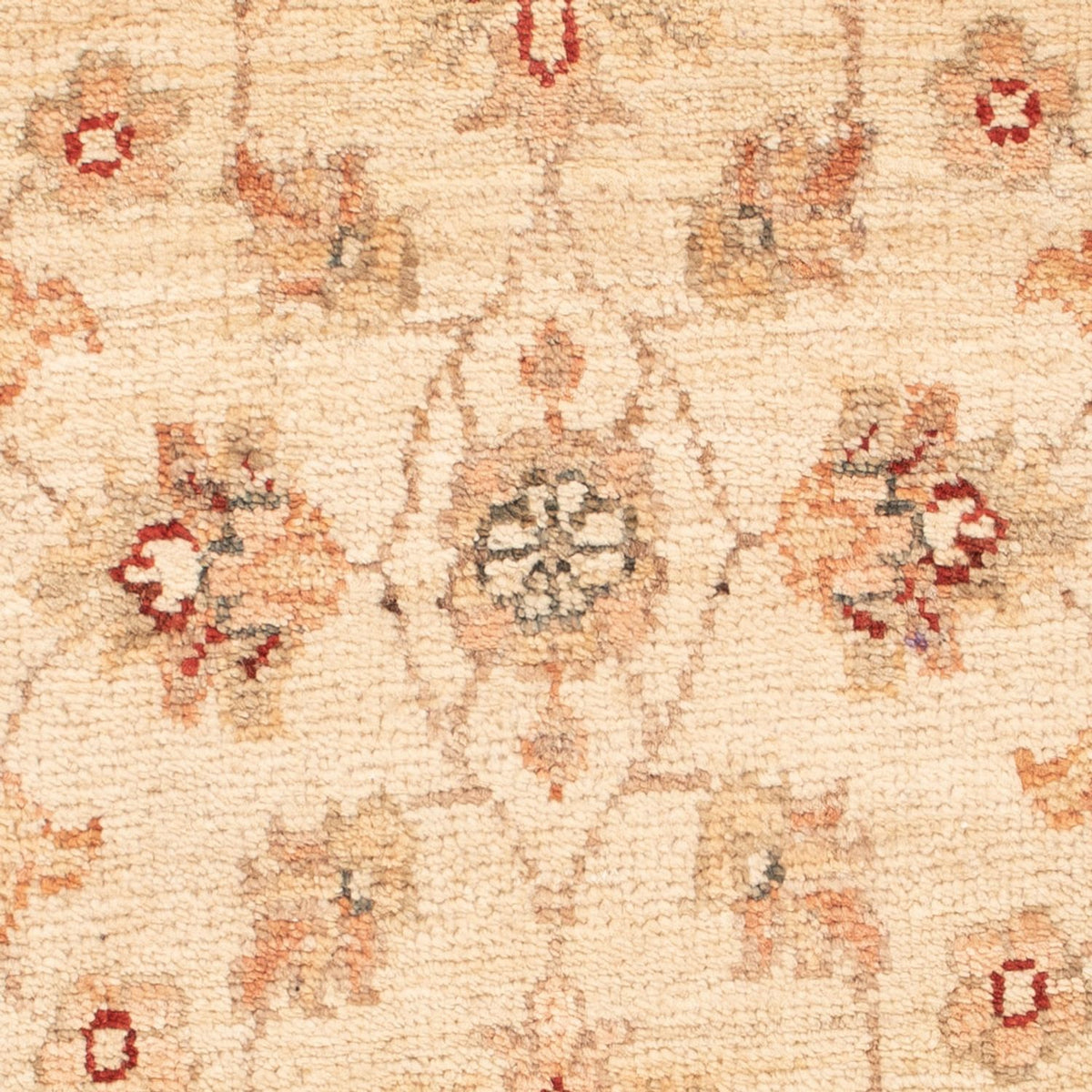 Alfombra Ziegler - 76 x 50 cm - beige