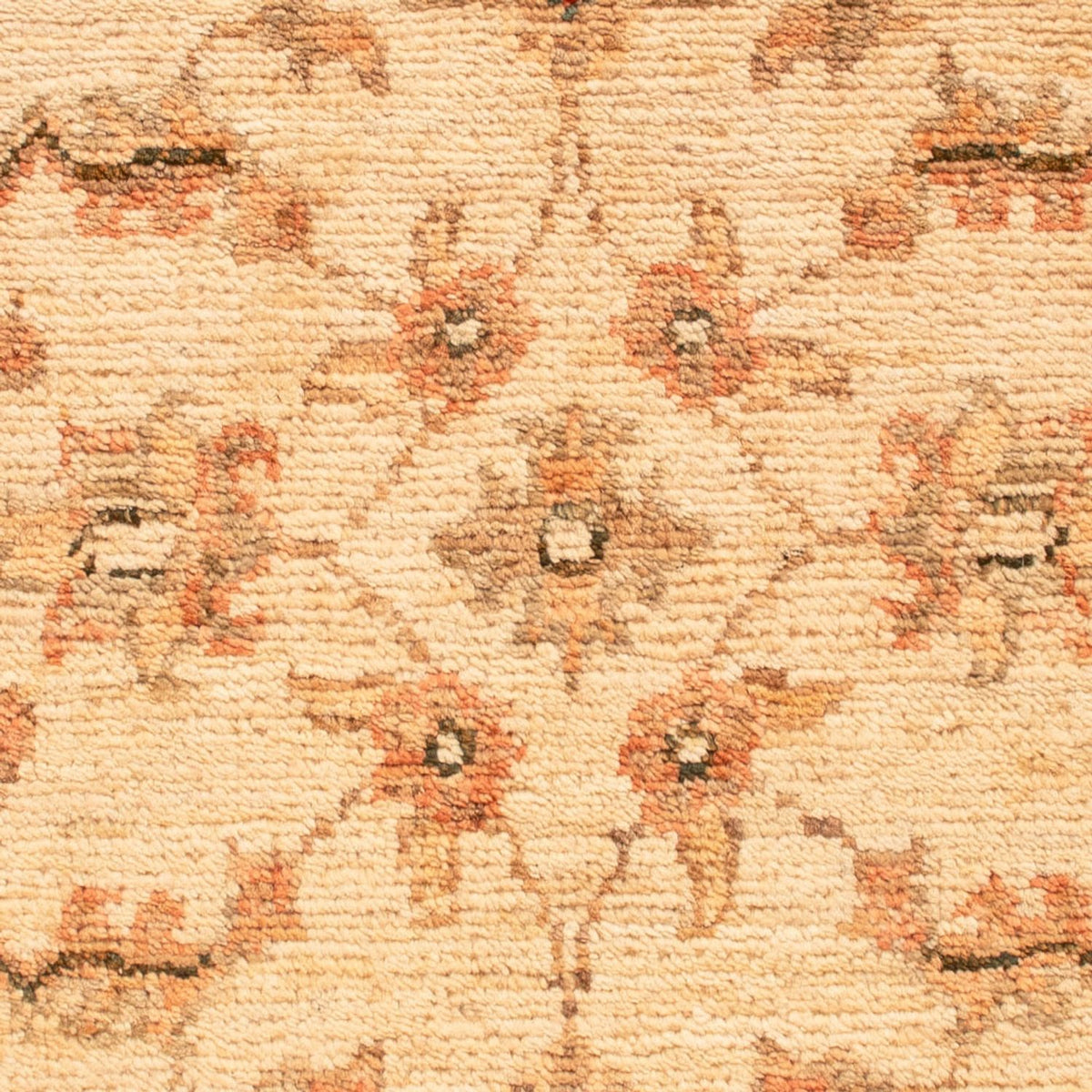 Alfombra Ziegler - 74 x 49 cm - beige