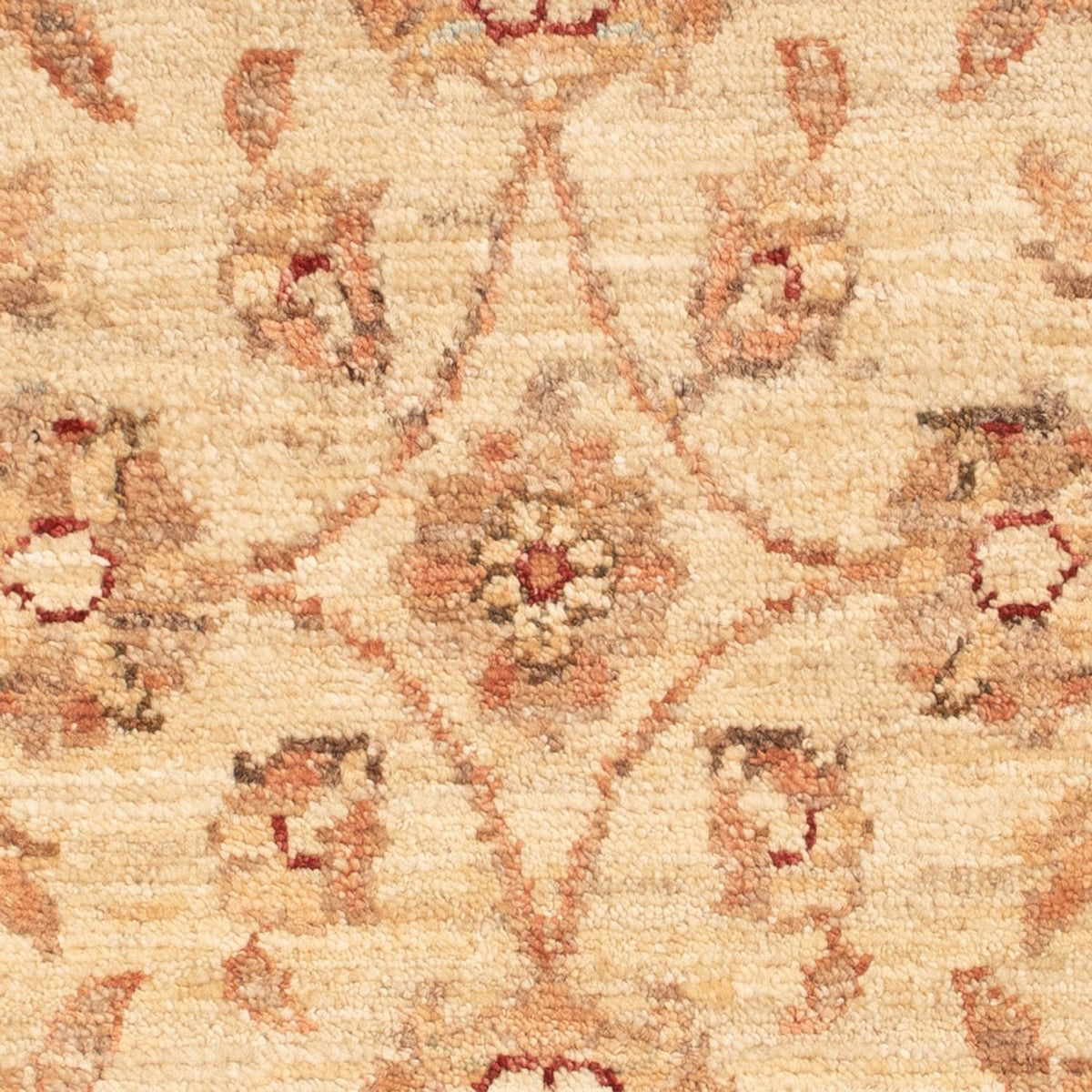 Alfombra Ziegler - 73 x 52 cm - beige