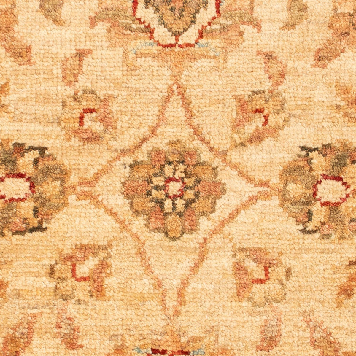 Alfombra Ziegler - 76 x 55 cm - beige