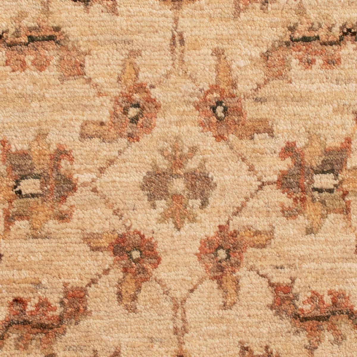 Alfombra Ziegler - 75 x 52 cm - beige