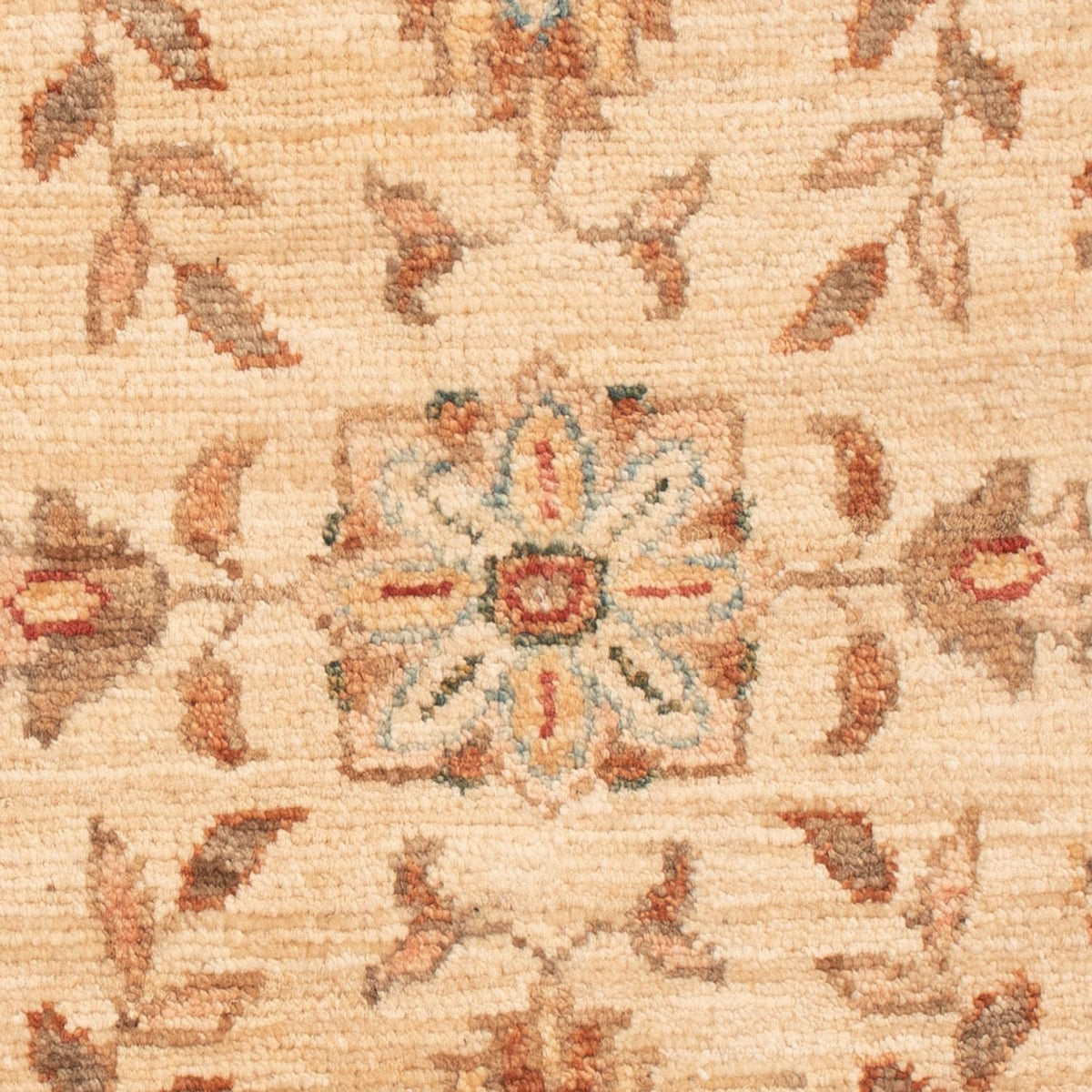 Alfombra Ziegler - 70 x 51 cm - beige