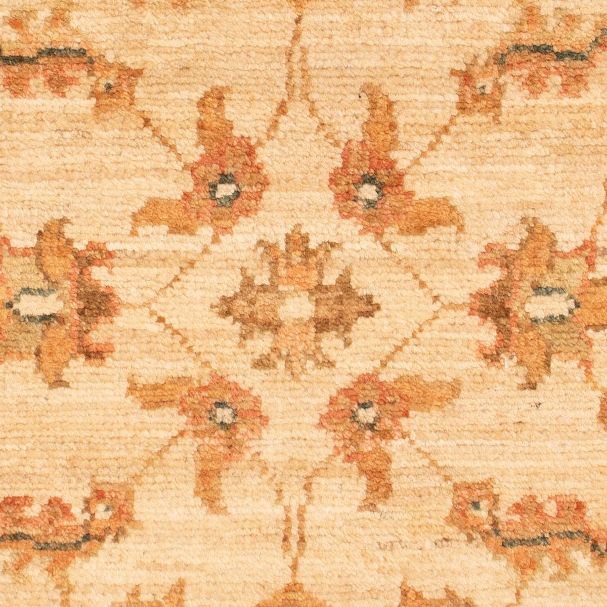 Alfombra Ziegler - 72 x 51 cm - beige