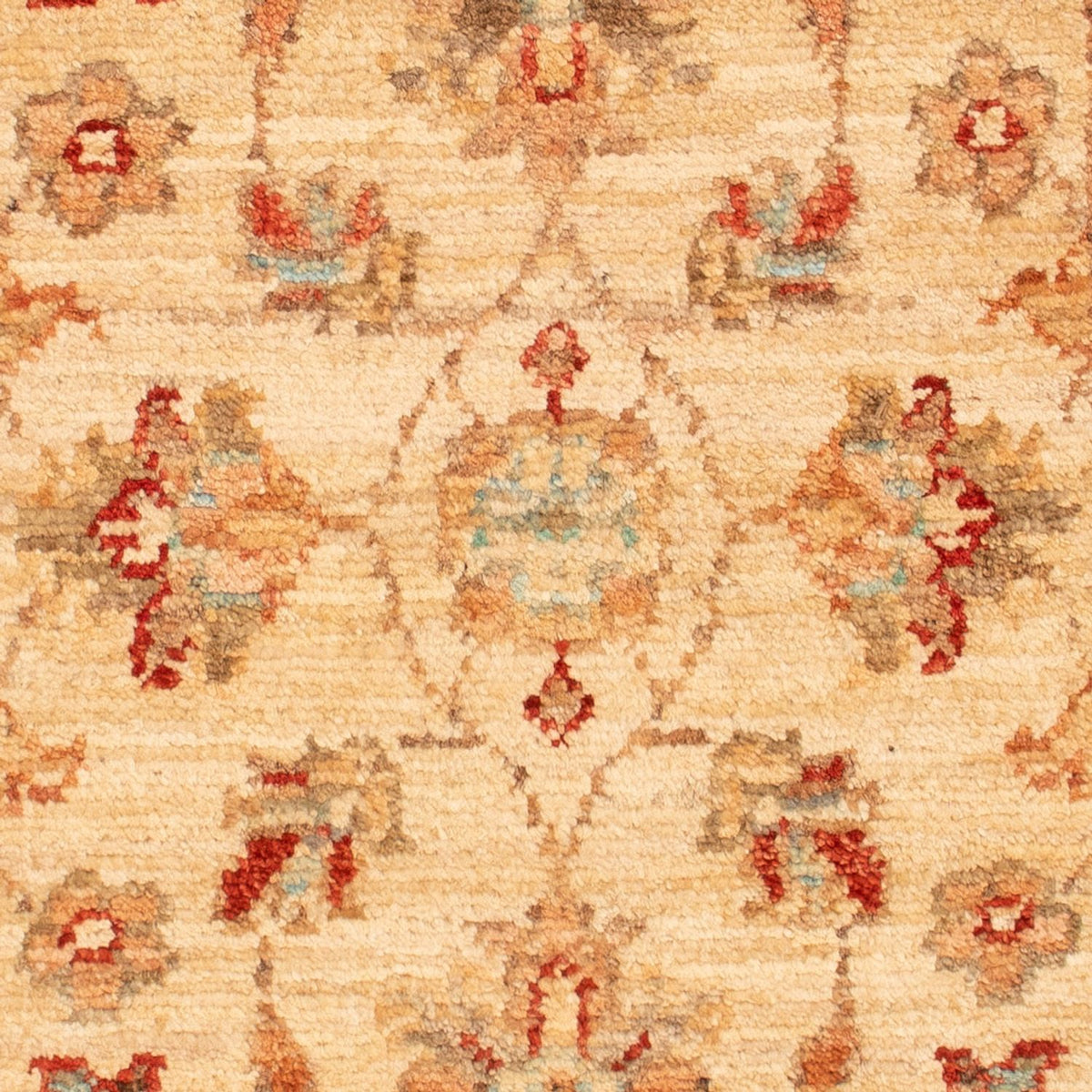 Alfombra Ziegler - 69 x 51 cm - beige