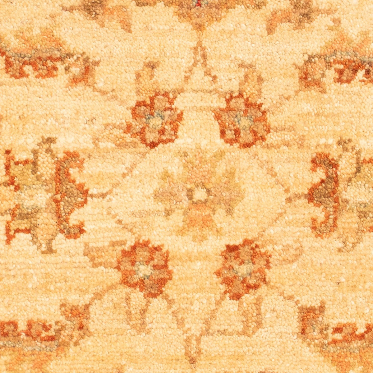 Alfombra Ziegler - 65 x 49 cm - beige