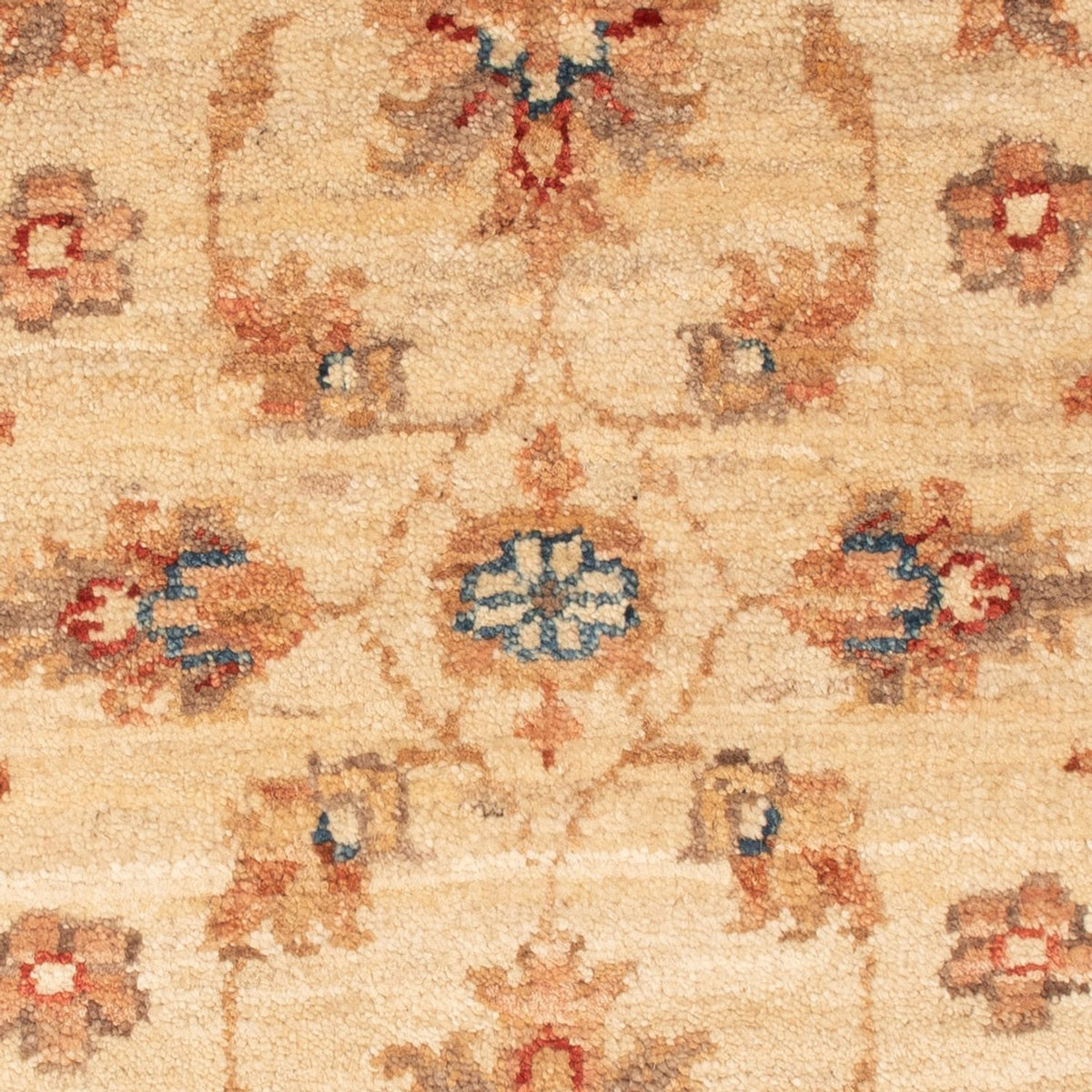 Alfombra Ziegler - 70 x 51 cm - beige