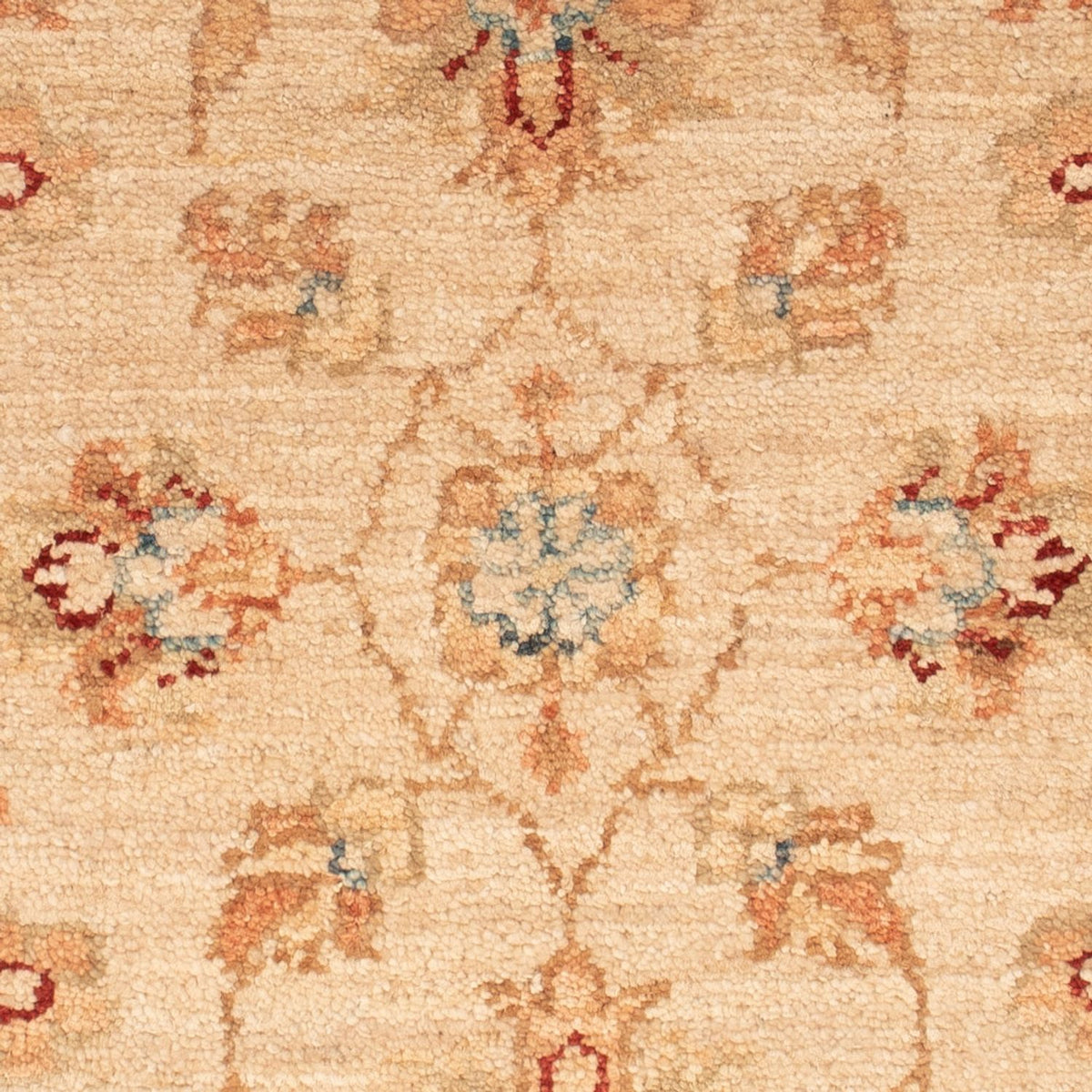 Alfombra Ziegler - 65 x 53 cm - beige