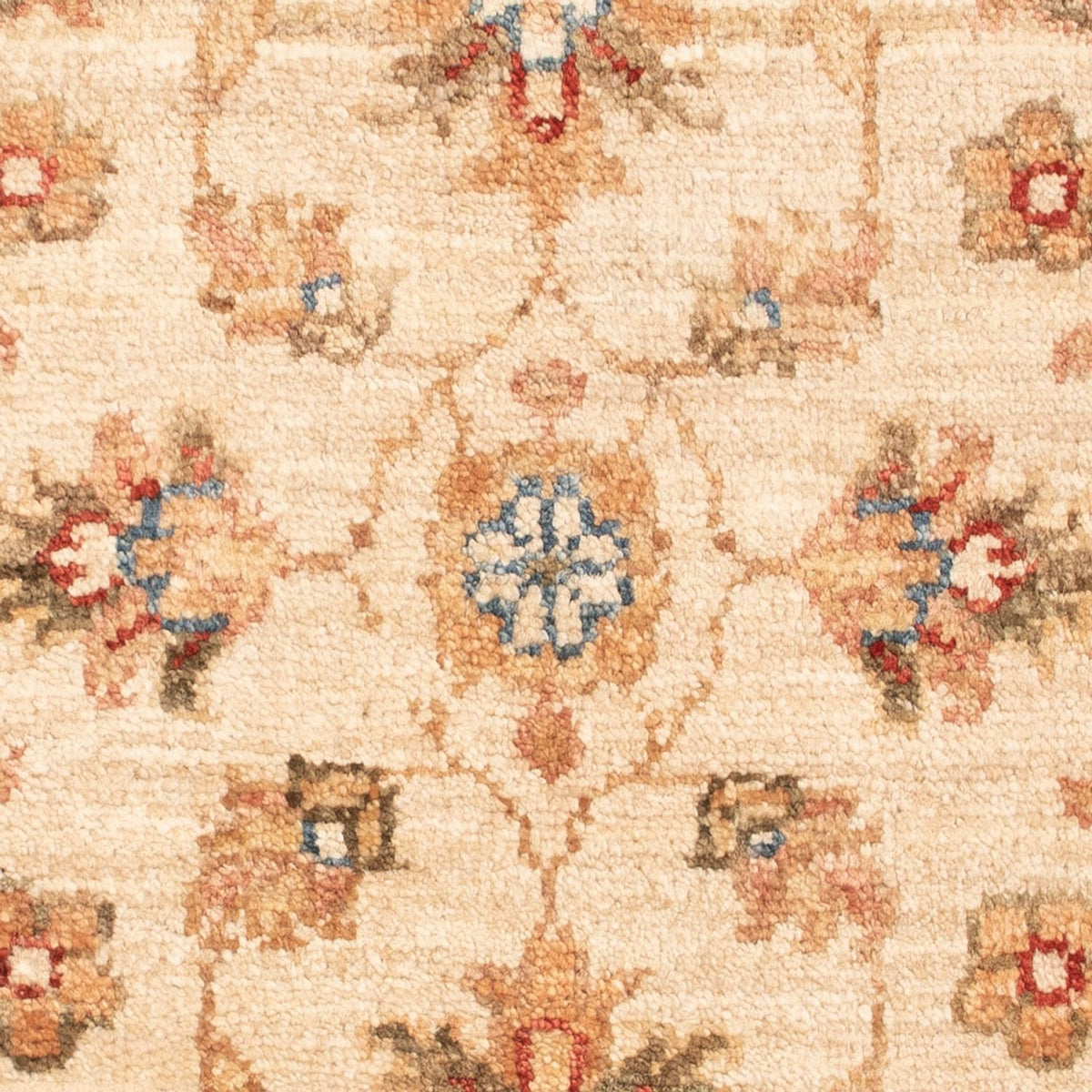 Alfombra Ziegler - 70 x 53 cm - beige
