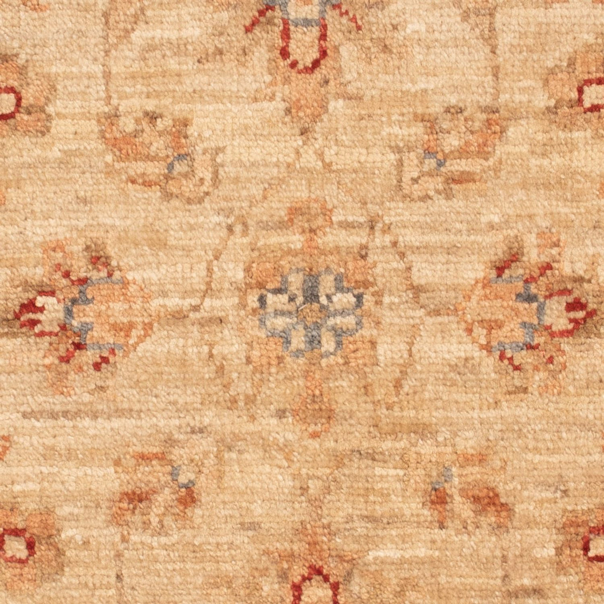 Alfombra Ziegler - 70 x 55 cm - beige