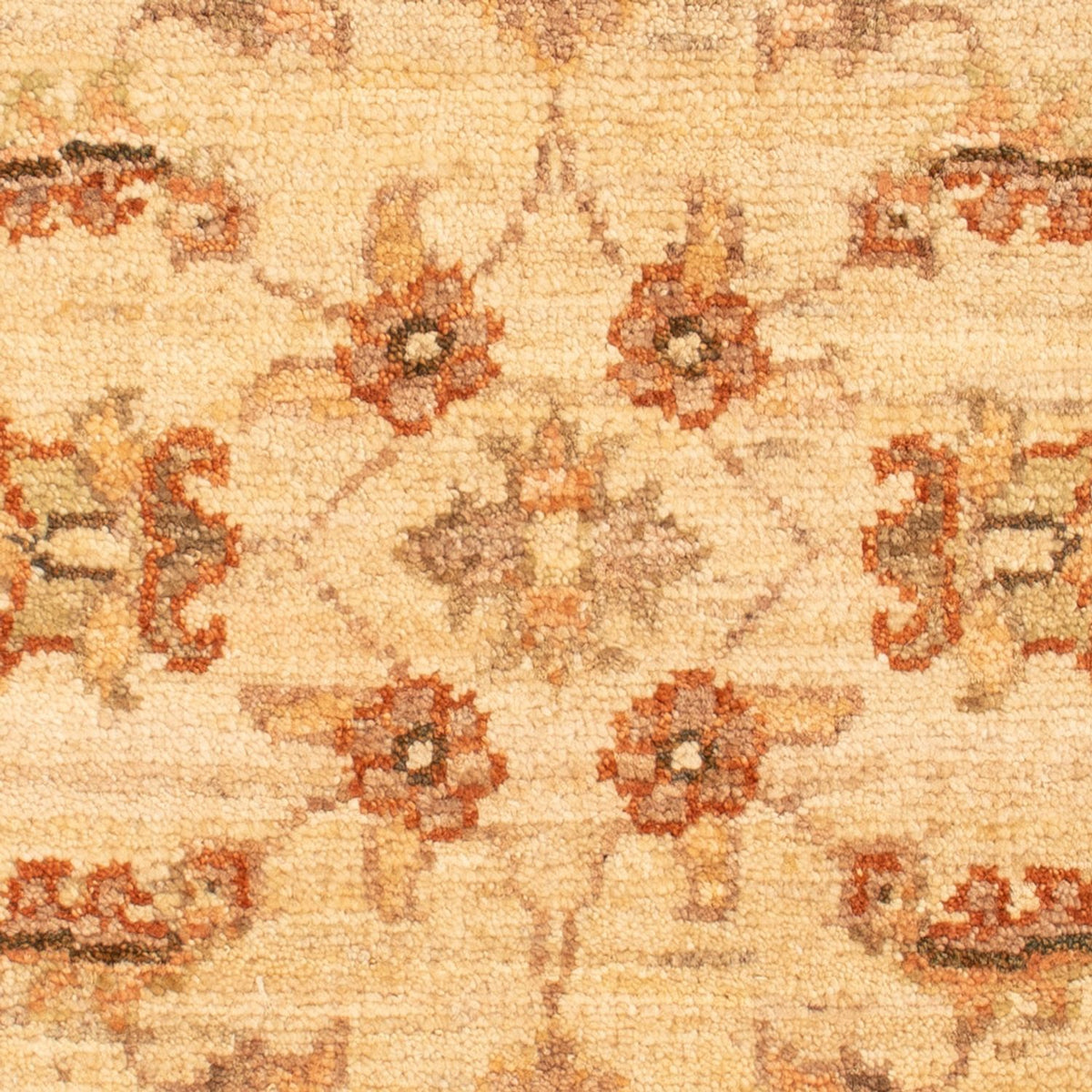 Alfombra Ziegler - 70 x 52 cm - beige