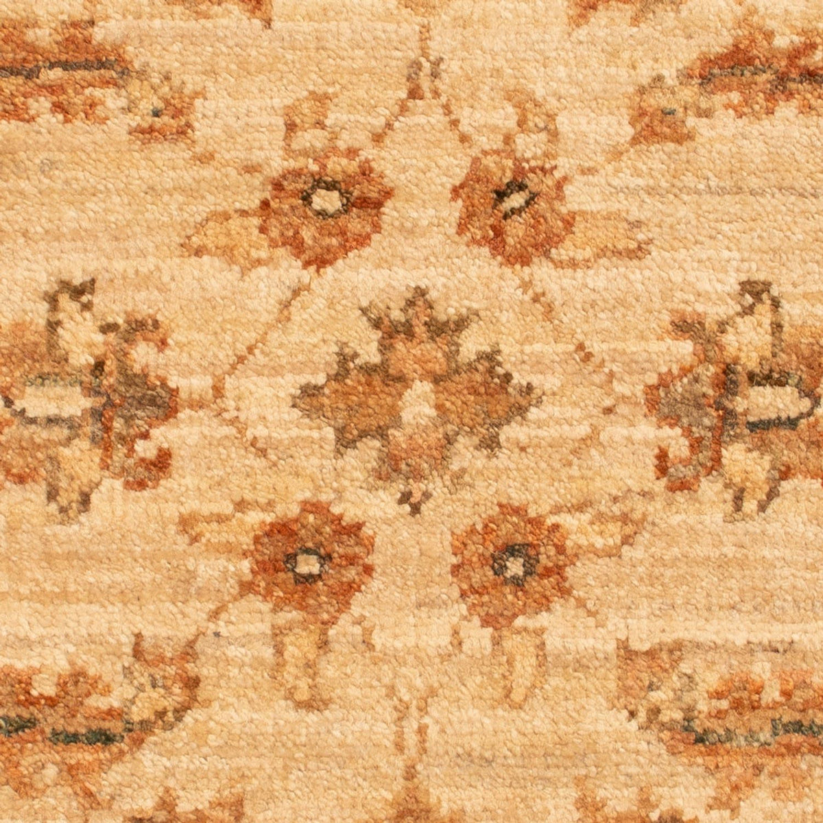 Alfombra Ziegler - 68 x 51 cm - beige