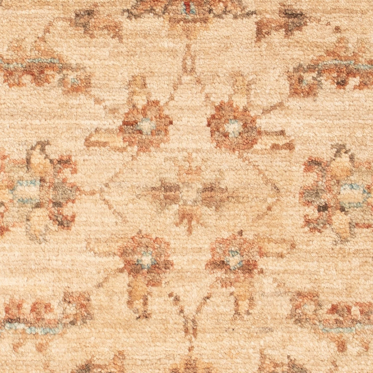 Alfombra Ziegler - 72 x 50 cm - beige