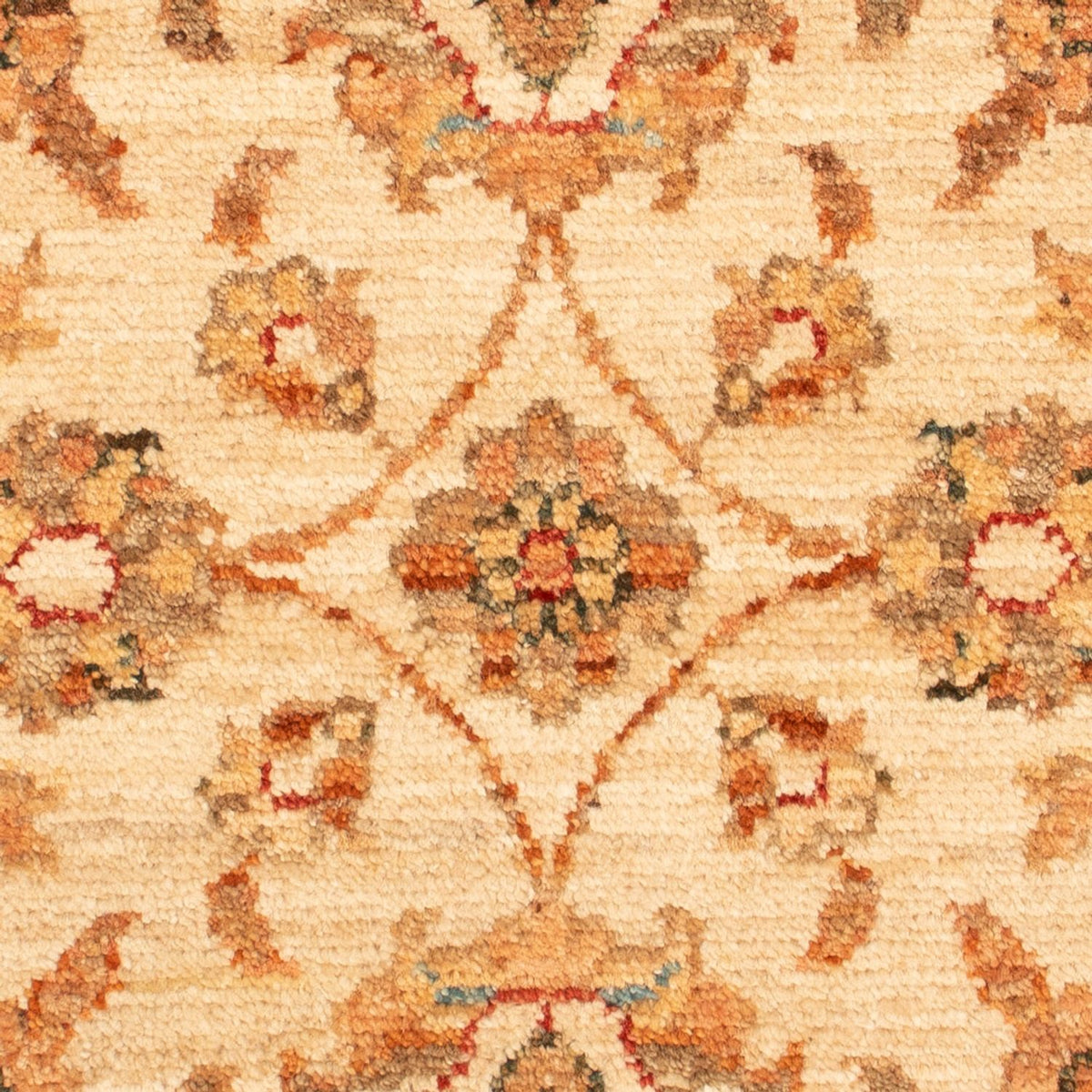 Alfombra Ziegler - 71 x 50 cm - beige