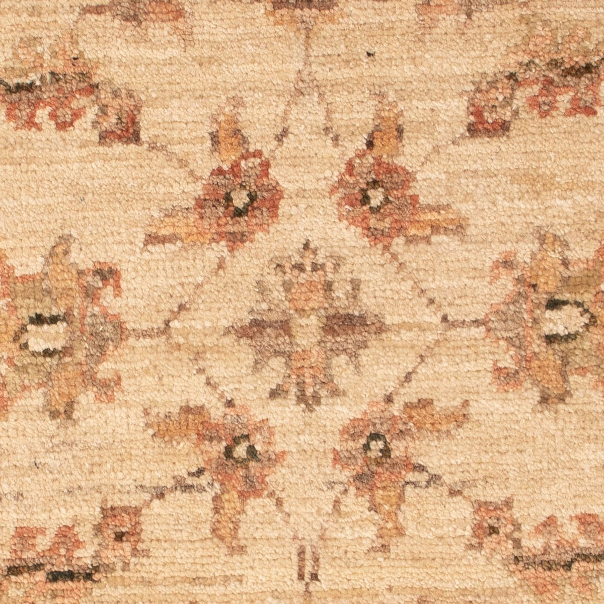 Alfombra Ziegler - 72 x 49 cm - beige