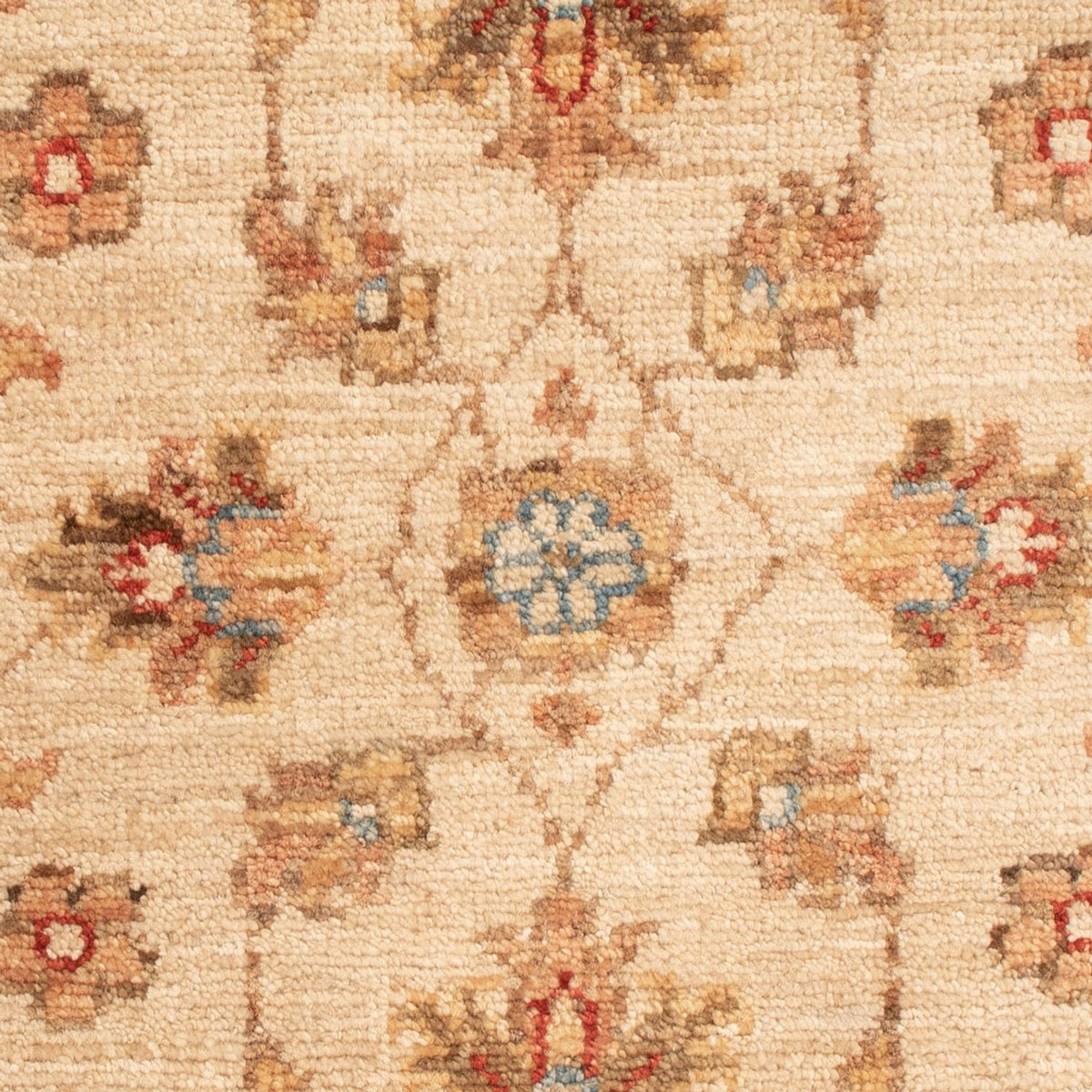 Alfombra Ziegler - 74 x 52 cm - beige