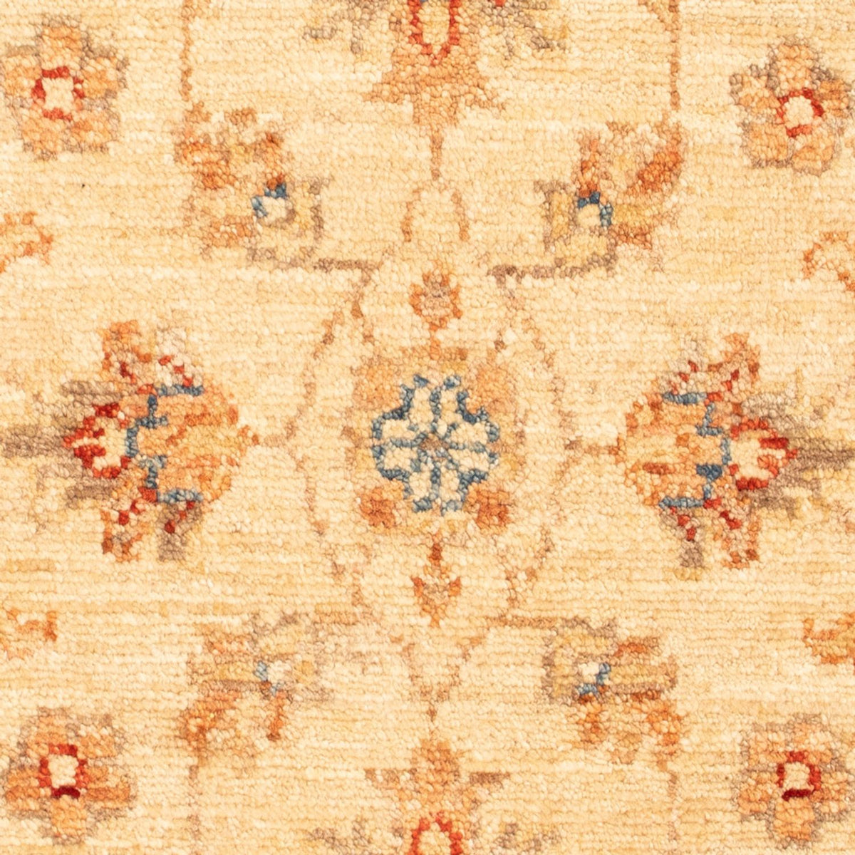 Alfombra Ziegler - 74 x 54 cm - beige