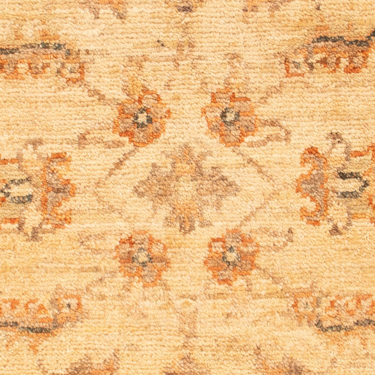 Alfombra Ziegler - 70 x 52 cm - beige